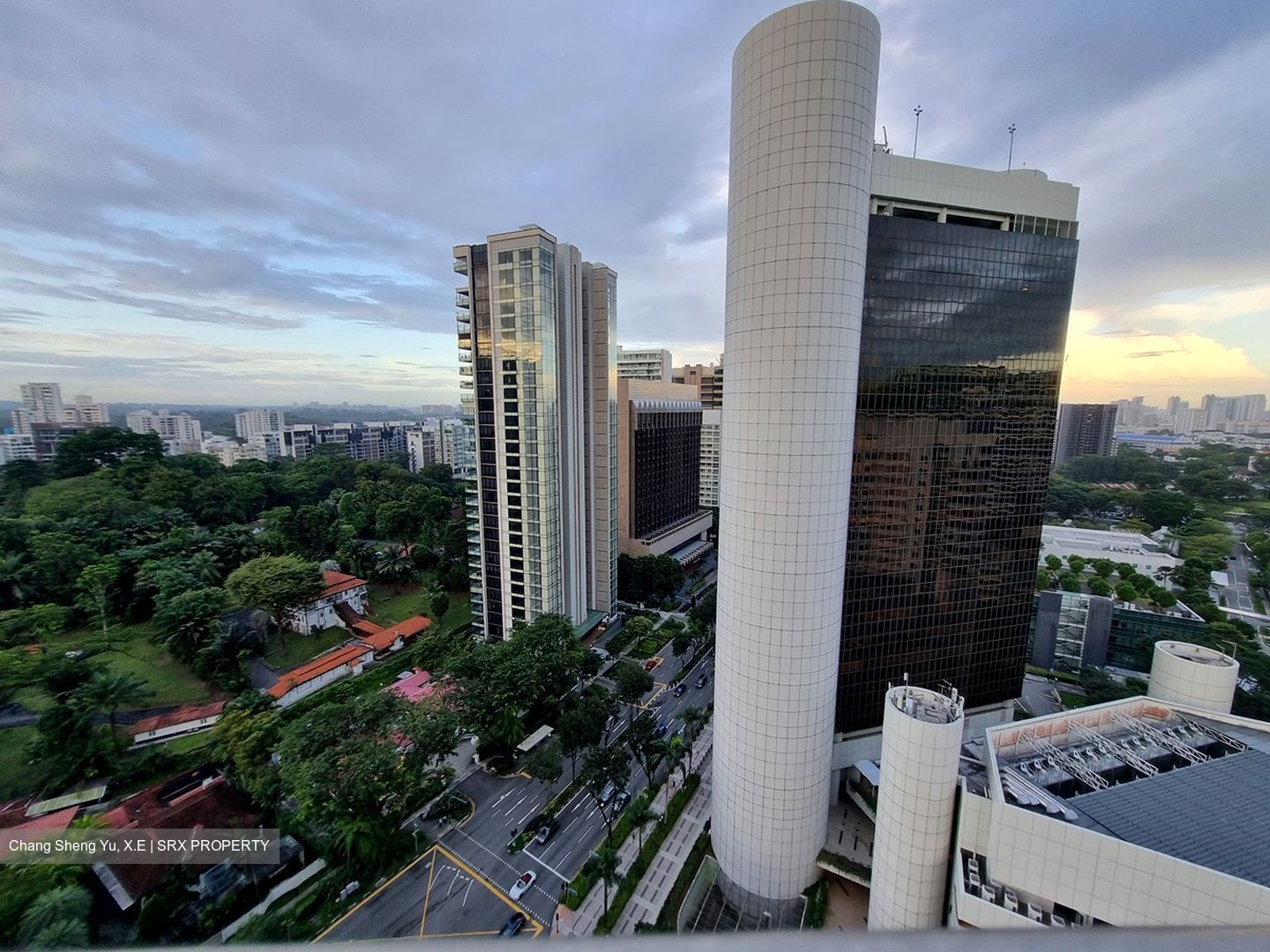 The Scotts Tower (D9), Condominium #423492941